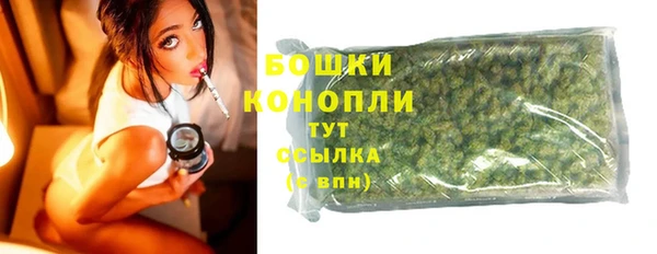 PSILOCYBIN Армянск