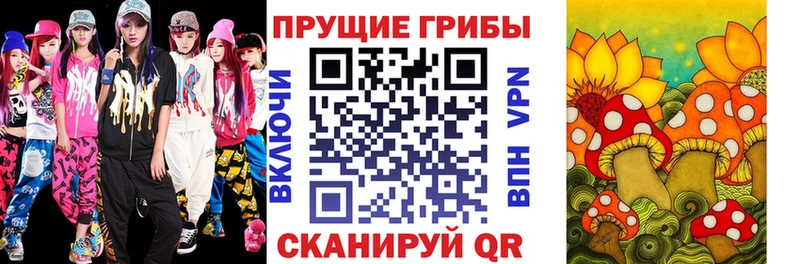 Галлюциногенные грибы Cubensis наркошоп Болгар